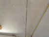 IMG_20220711_130921.jpg