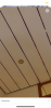 21BC7167-C006-43C2-8E0A-7778B8D2FF20.png