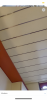 5D6B00B9-D706-4D3D-96DA-BE52B9DE0E9B.png