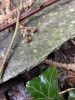 IMG-9432.jpg IMG-9432.jpg