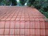 20220721_070458.jpg