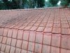 20220721_070513.jpg