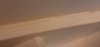 20220726_115448.jpg