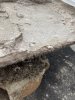 D9381491-DEEC-4D4B-95E9-2AD6D3569F09.jpeg D9381491-DEEC-4D4B-95E9-2AD6D3569F09.jpeg