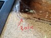 folie.jpg
