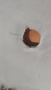 IMG-20220804-WA0008.jpg