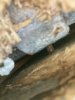 IMG_3355.jpeg