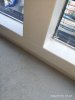 IMG_20220816_104704.jpg