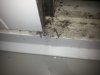 IMG-20220817-WA0004.jpg