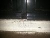 IMG-20220817-WA0000.jpg
