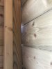 IMG_6005.jpeg IMG_6005.jpeg