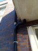 IMG_20220903_095527_558.jpg
