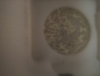tempImagecB8jS6.png