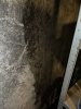 13066C7E-F603-4355-9F7E-9E821ED3CECA.jpeg