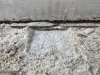 IMG_5531.jpg