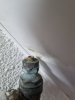 20220927_125513.jpg