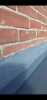 Screenshot_20221005-160938_Gallery.png