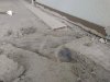 IMG_20200930_173406.jpg