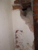 IMG_20201002_130922929.jpg