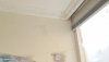 20200618_131843.jpg