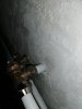 IMG_20201006_160307.jpg