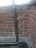 IMG_20201007_082142.jpg
