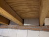 PXL_20221013_163430717.jpg