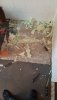 IMG-20221020-WA0008.jpeg