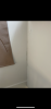IMG_0329.PNG