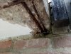 IMG_20221030_162529478_MFNR.jpg