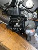 IMG_2277.jpeg