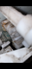 5940853B-6B8E-4BCC-BEDC-1D225C4CF2CB.png