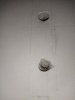 IMG_20221113_155731.jpg