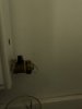 D62A8338-3B91-482A-A0F1-177EF961CF78.jpeg