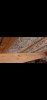 Screenshot_20221206-112615_Gallery.jpg