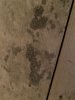 IMG_5904.jpeg