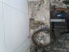 IMG_20221229_152600.jpg