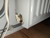 PXL_20230104_195136042.jpg