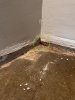IMG_3076.jpeg