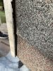 IMG_3020.JPEG