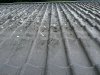 IMG_5724.jpeg
