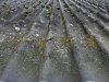 IMG_5730.jpeg