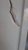 IMG-20230228-WA0002.jpg