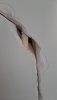 IMG-20230228-WA0001.jpg