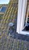 IMG-20230302-WA0010.jpeg