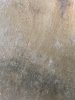 303C18E3-E766-4292-BD41-8D19240856C0.jpeg 303C18E3-E766-4292-BD41-8D19240856C0.jpeg