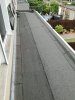 IMG_20200823_165302.jpg