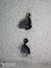 IMG-20201011-WA0001.jpg