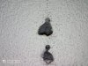 IMG-20201011-WA0003.jpg