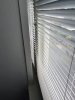 20201017_163308.jpg